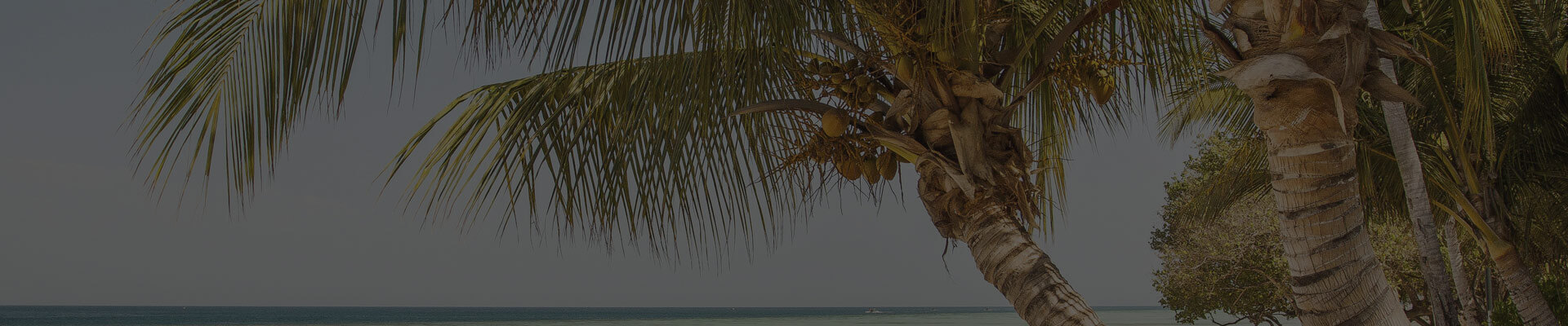 location majestic resorts