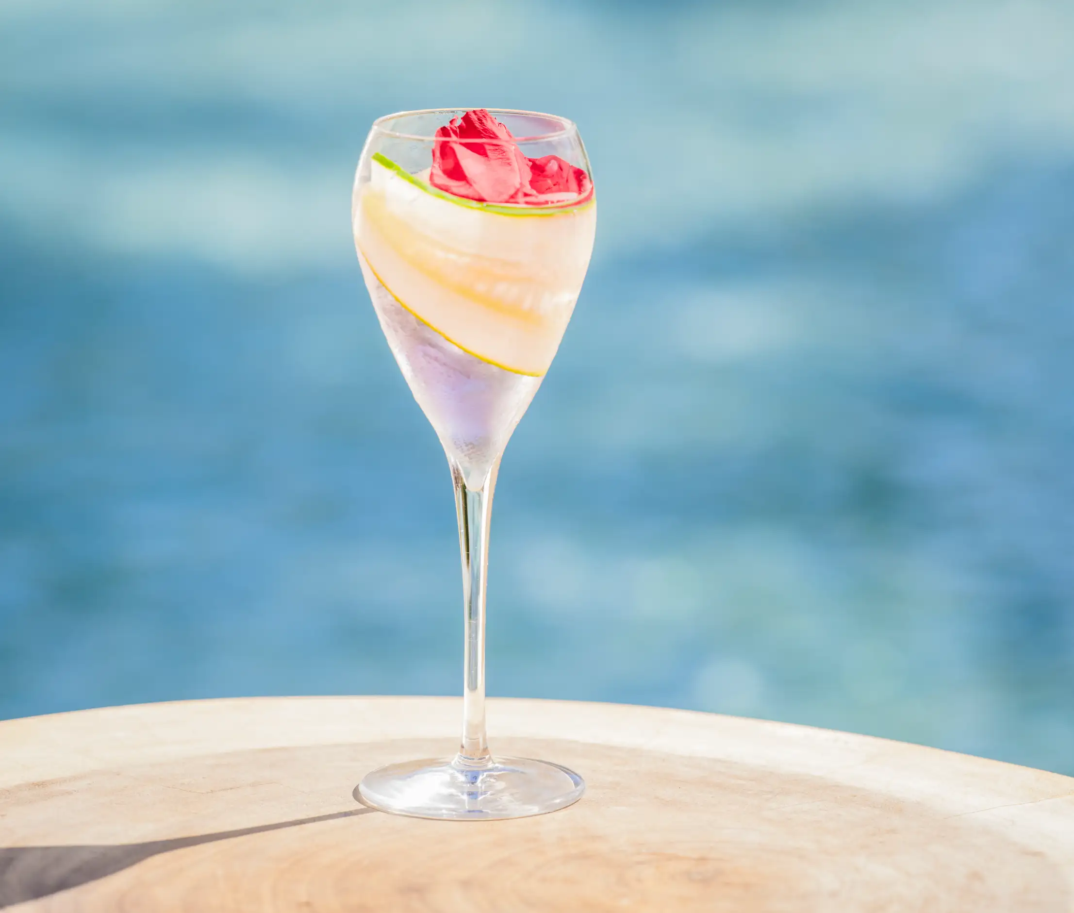 destination punta cana