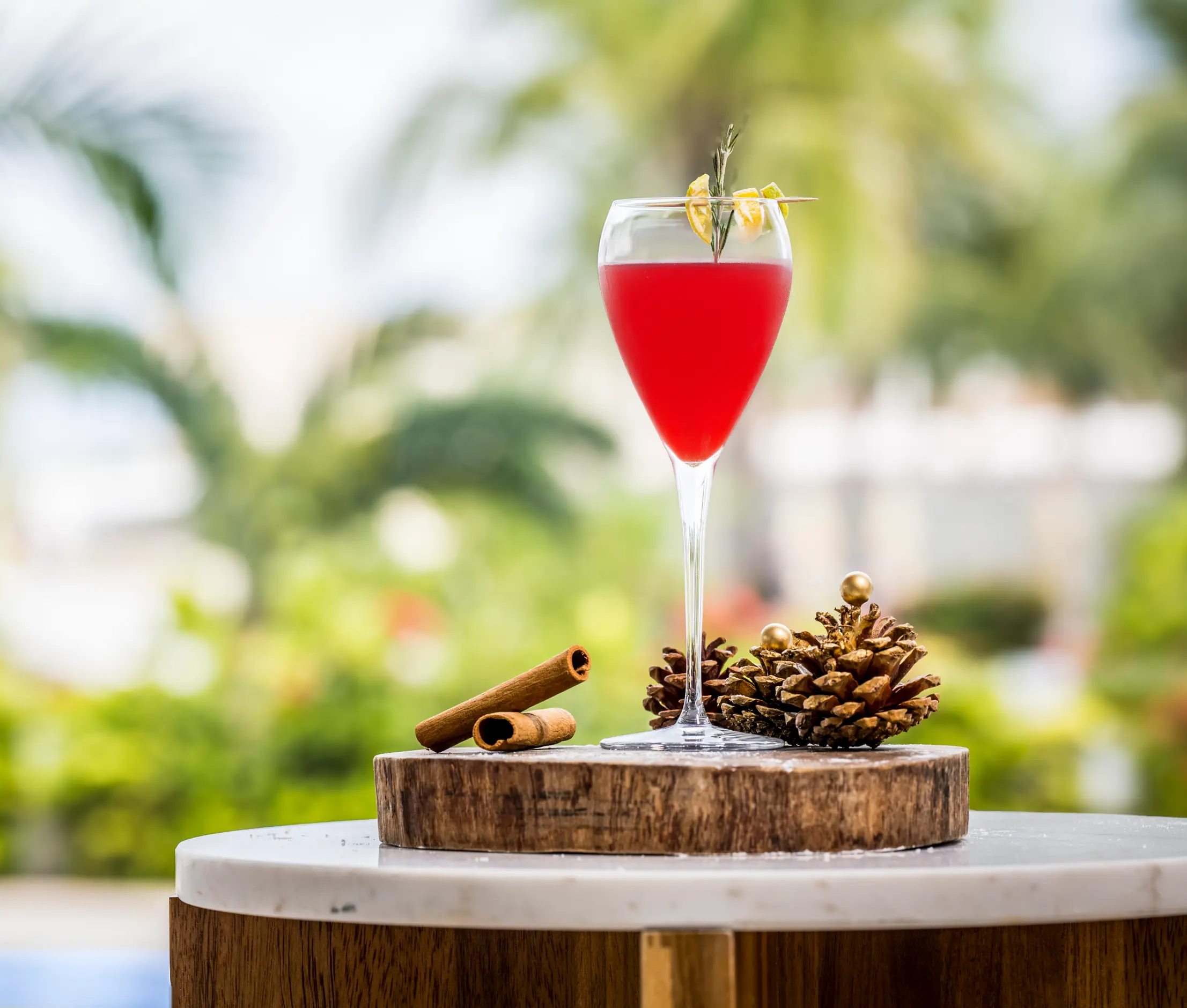 destination costa mujeres