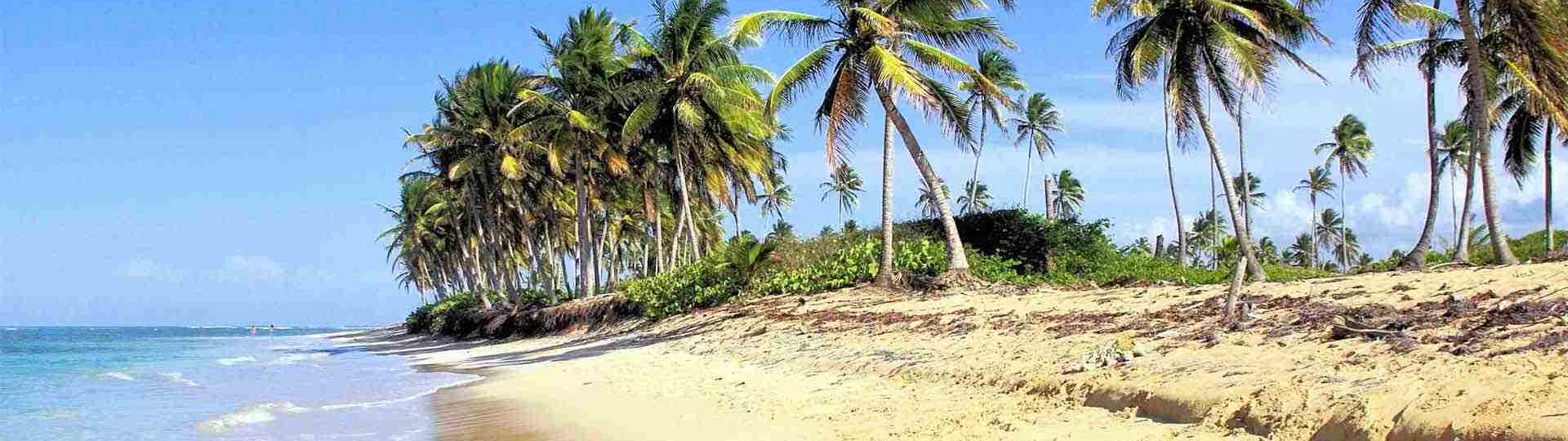 go majestic resorts punta cana