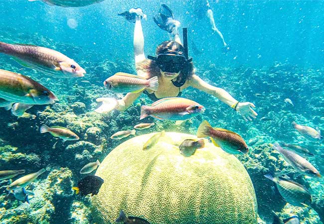 tours punta cana tours punta cana go majestic majestic resorts