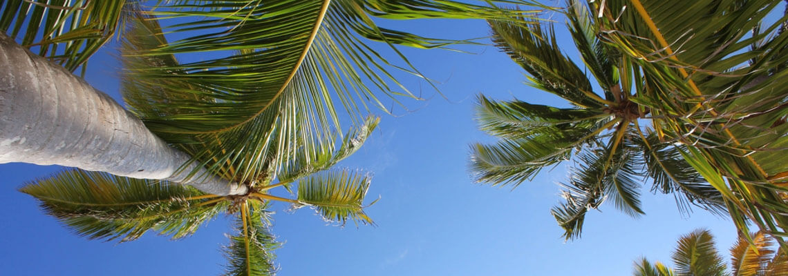 Parque de aventuras punta cana majestic resorts