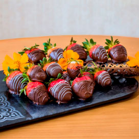 chocolate punta cana