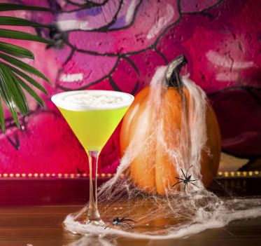 punta cana destination punta cana