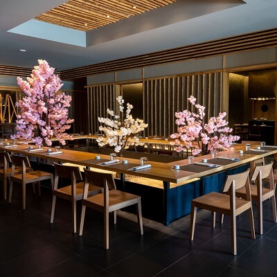 kabuki majestic elegance costa mujeres