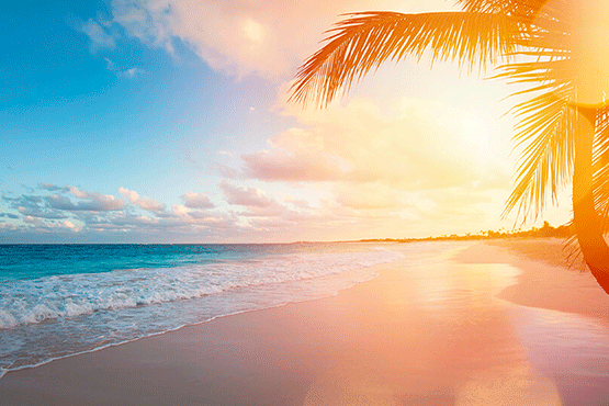 destination costa mujeres destination weddings costa mujeres majestic resorts