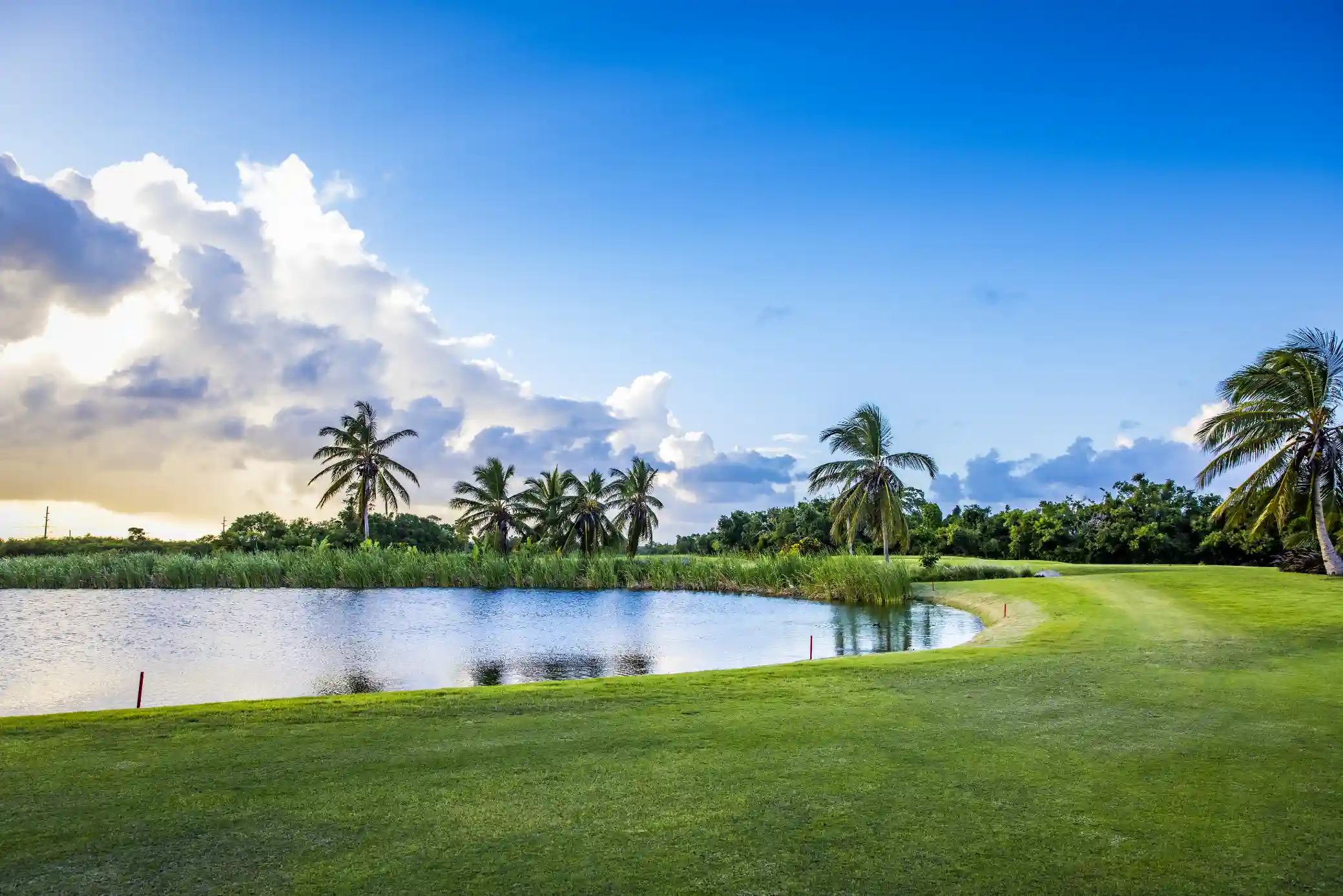 golf punta cana majestic resorts